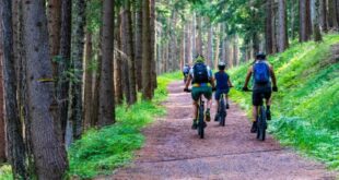 Electric bike sales surge new Energise figures find E-bike sales surge amid COVID fears, Energise figures find