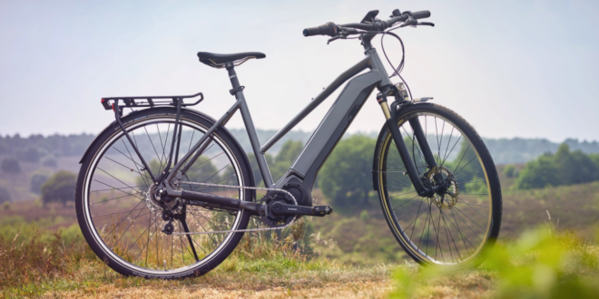 Swedish e bikes Swedish e-bike sales remain high despite Government ceasing subsidy scheme