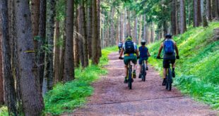 forest g0807f37ad 1920 E-bikes 101: Getting the price right